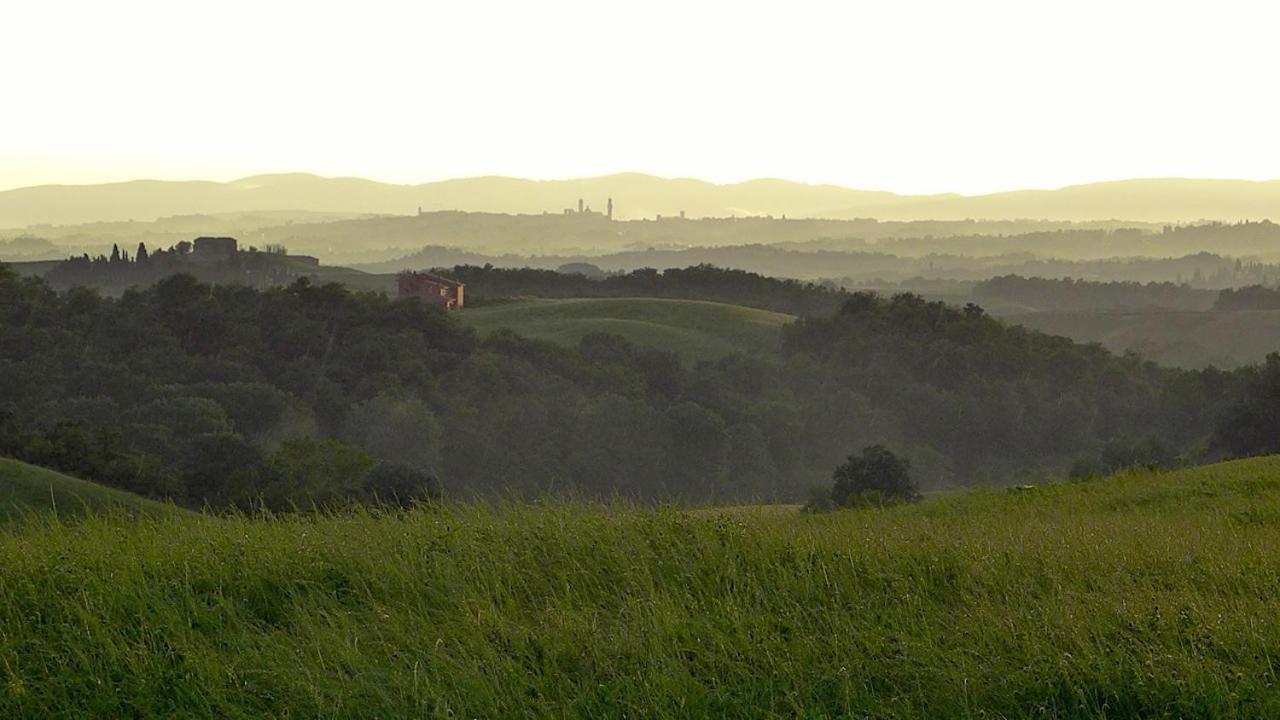 Agriturismo San Fabio Castelnuovo Berardenga Exterior photo